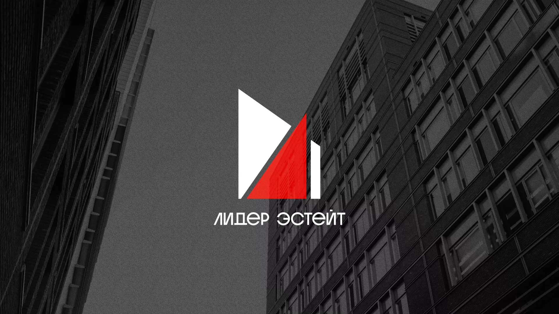Сделали логотип для агентства недвижимости «Лидер Эстейт» в Билибино